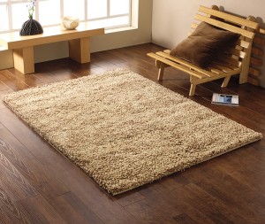 Lakeland Kensington Shaggy Beige Rug